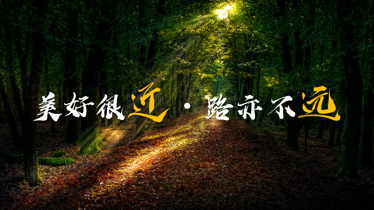 1623217431241502721.png 1623217431241502721.png